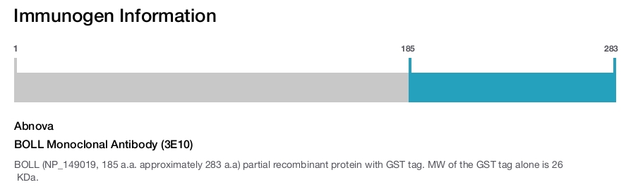 BOLL Monoclonal Antibody (3E10)