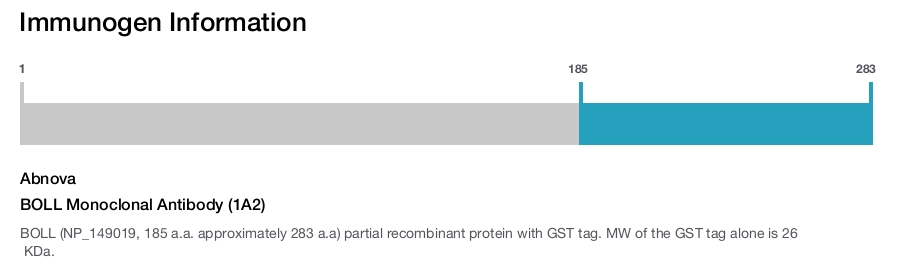 BOLL Monoclonal Antibody (1A2)