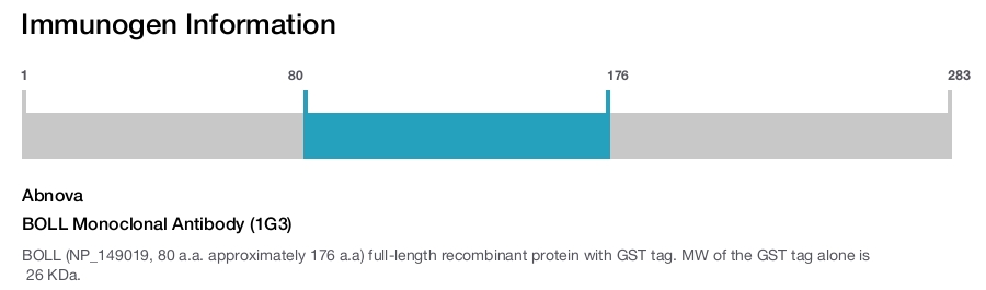 BOLL Monoclonal Antibody (1G3)