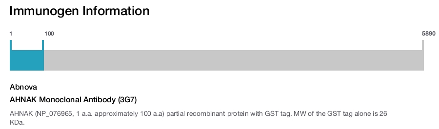 AHNAK Monoclonal Antibody (3G7)