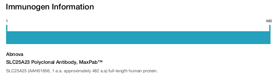 SLC25A23 Polyclonal Antibody, MaxPab™