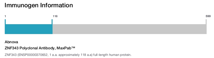 ZNF343 Polyclonal Antibody, MaxPab™