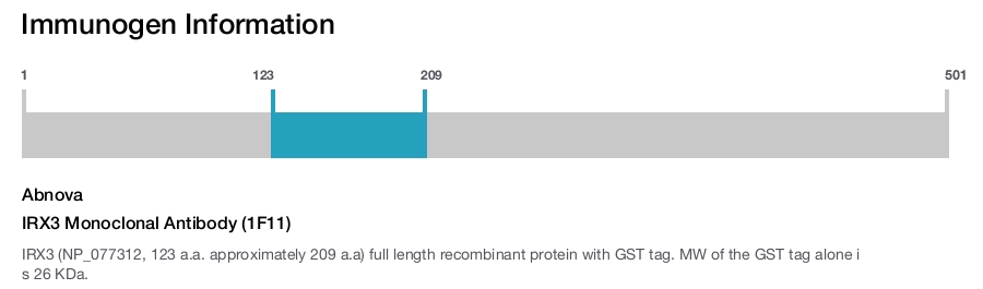 IRX3 Monoclonal Antibody (1F11)