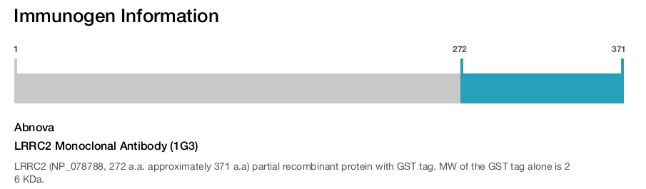 LRRC2 Monoclonal Antibody (1G3)