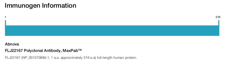 FLJ22167 Polyclonal Antibody, MaxPab&trade;