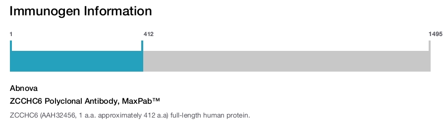 ZCCHC6 Polyclonal Antibody, MaxPab™
