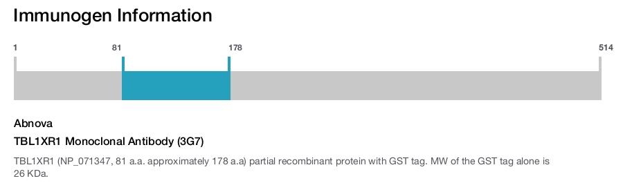 TBL1XR1 Monoclonal Antibody (3G7)