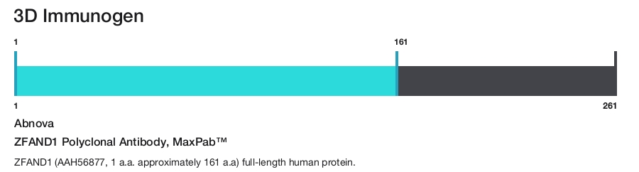 ZFAND1 Polyclonal Antibody, MaxPab&trade;