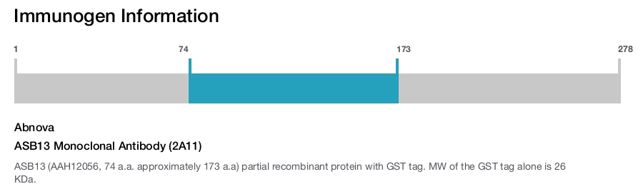 ASB13 Monoclonal Antibody (2A11)