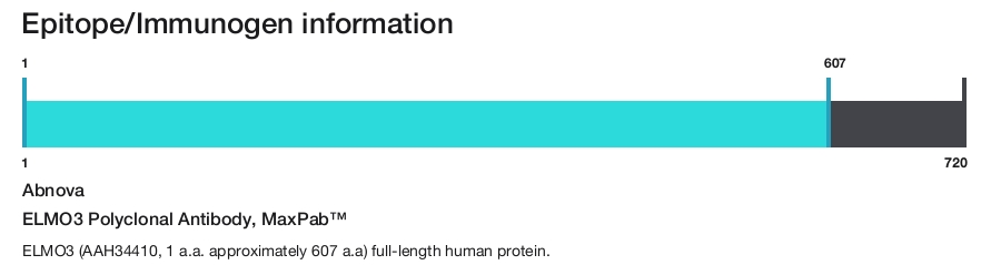 ELMO3 Polyclonal Antibody, MaxPab&trade;