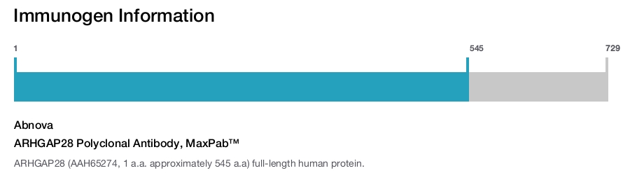 ARHGAP28 Polyclonal Antibody, MaxPab™