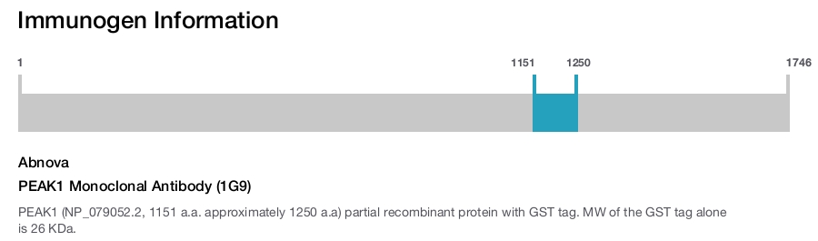 PEAK1 Monoclonal Antibody (1G9)