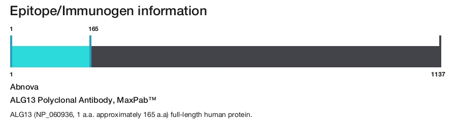 ALG13 Polyclonal Antibody, MaxPab&trade;