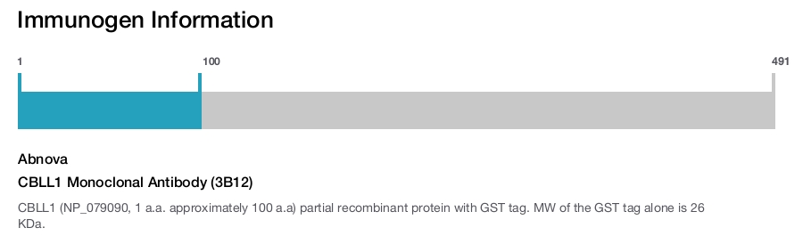 CBLL1 Monoclonal Antibody (3B12)