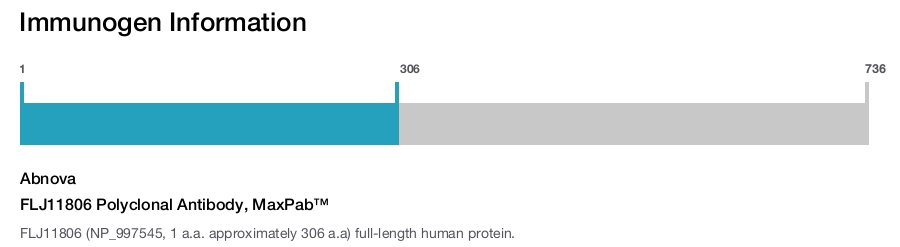 FLJ11806 Polyclonal Antibody, MaxPab™