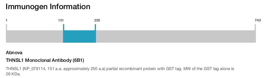 THNSL1 Monoclonal Antibody (6B1)