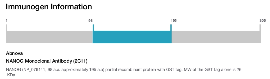 NANOG Monoclonal Antibody (2C11)