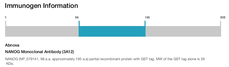 NANOG Monoclonal Antibody (3A12)