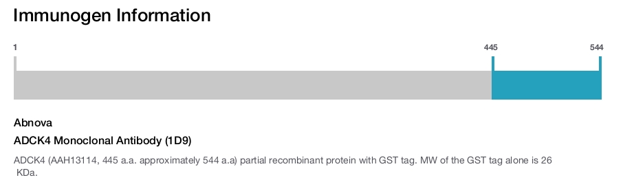 ADCK4 Monoclonal Antibody (1D9)
