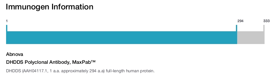 DHDDS Polyclonal Antibody, MaxPab™