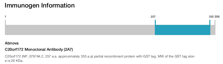 C20orf172 Monoclonal Antibody (2A7)