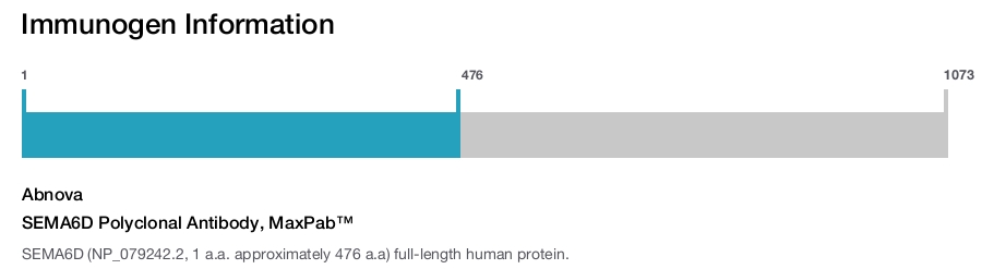 SEMA6D Polyclonal Antibody, MaxPab™