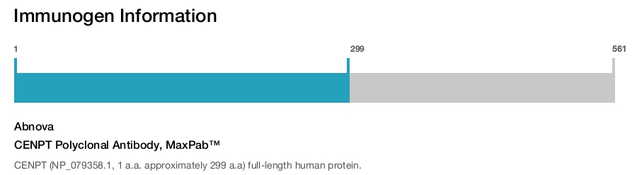 CENPT Polyclonal Antibody, MaxPab™