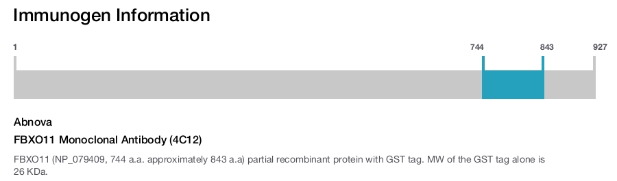 FBXO11 Monoclonal Antibody (4C12)