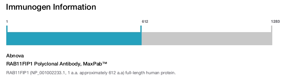 RAB11FIP1 Polyclonal Antibody, MaxPab&trade;