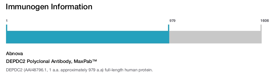 DEPDC2 Polyclonal Antibody, MaxPab™