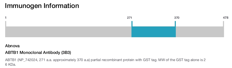 ABTB1 Monoclonal Antibody (3B3)