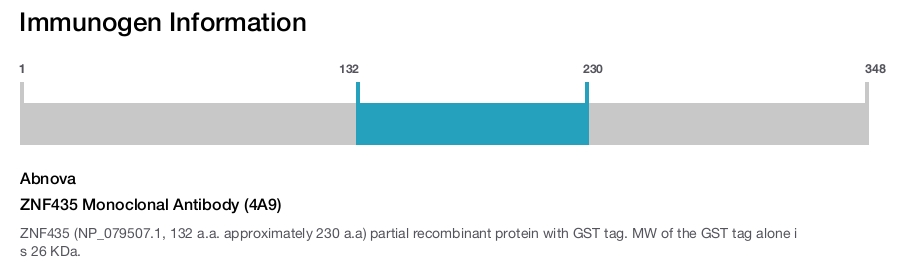 ZNF435 Monoclonal Antibody (4A9)