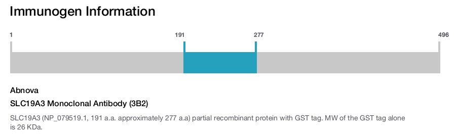 SLC19A3 Monoclonal Antibody (3B2)