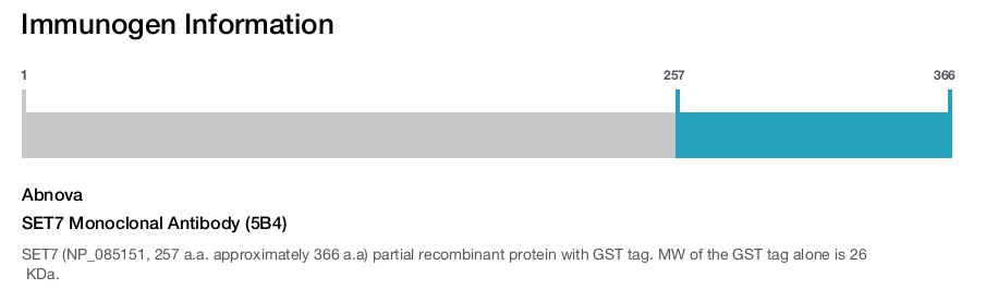 SET7 Monoclonal Antibody (5B4)