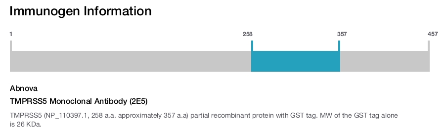 TMPRSS5 Monoclonal Antibody (2E5)