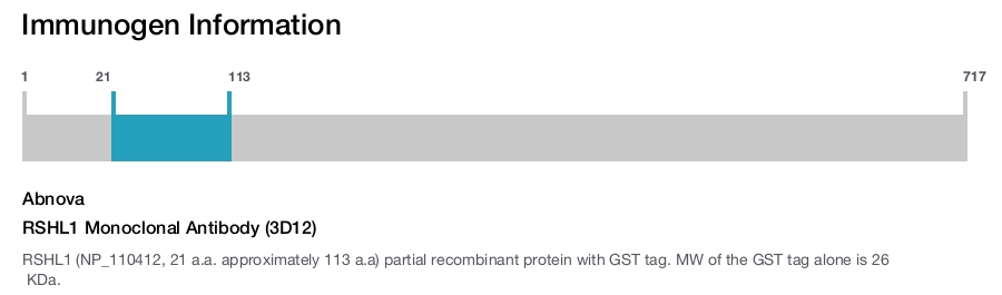 RSHL1 Monoclonal Antibody (3D12)