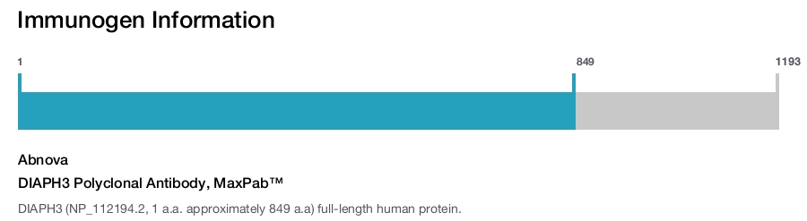 DIAPH3 Polyclonal Antibody, MaxPab™