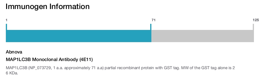 MAP1LC3B Monoclonal Antibody (4E11)