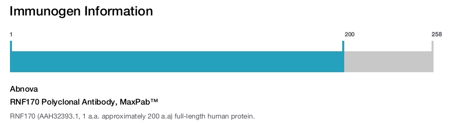 RNF170 Polyclonal Antibody, MaxPab™