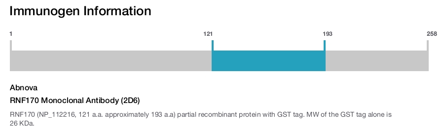 RNF170 Monoclonal Antibody (2D6)