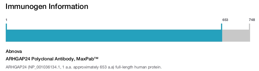 ARHGAP24 Polyclonal Antibody, MaxPab™