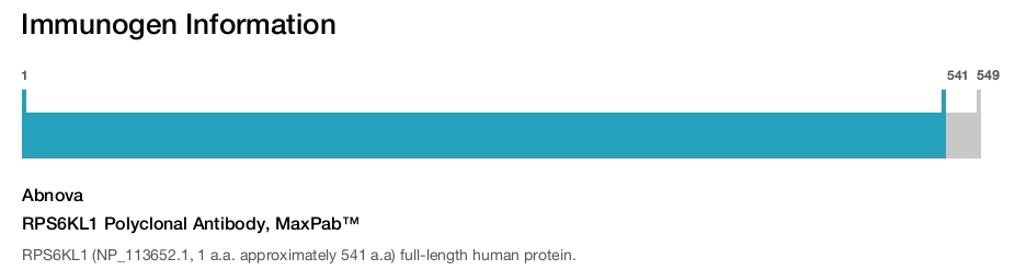 RPS6KL1 Polyclonal Antibody, MaxPab™