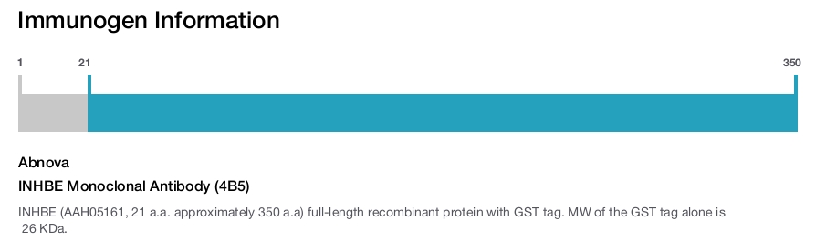 INHBE Monoclonal Antibody (4B5)