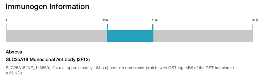 SLC25A18 Monoclonal Antibody (2F12)