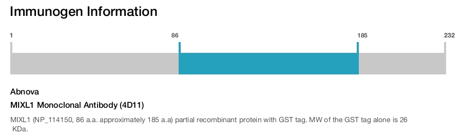 MIXL1 Monoclonal Antibody (4D11)