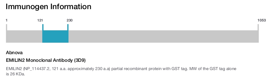 EMILIN2 Monoclonal Antibody (3D9)