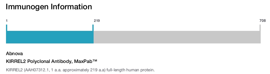 KIRREL2 Polyclonal Antibody, MaxPab™