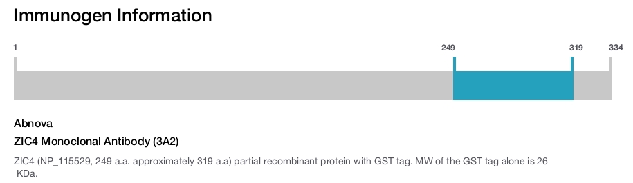 ZIC4 Monoclonal Antibody (3A2)