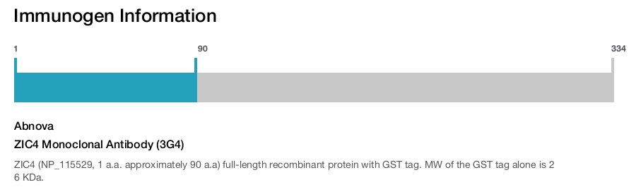 ZIC4 Monoclonal Antibody (3G4)
