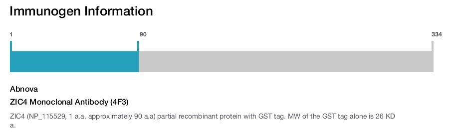 ZIC4 Monoclonal Antibody (4F3)